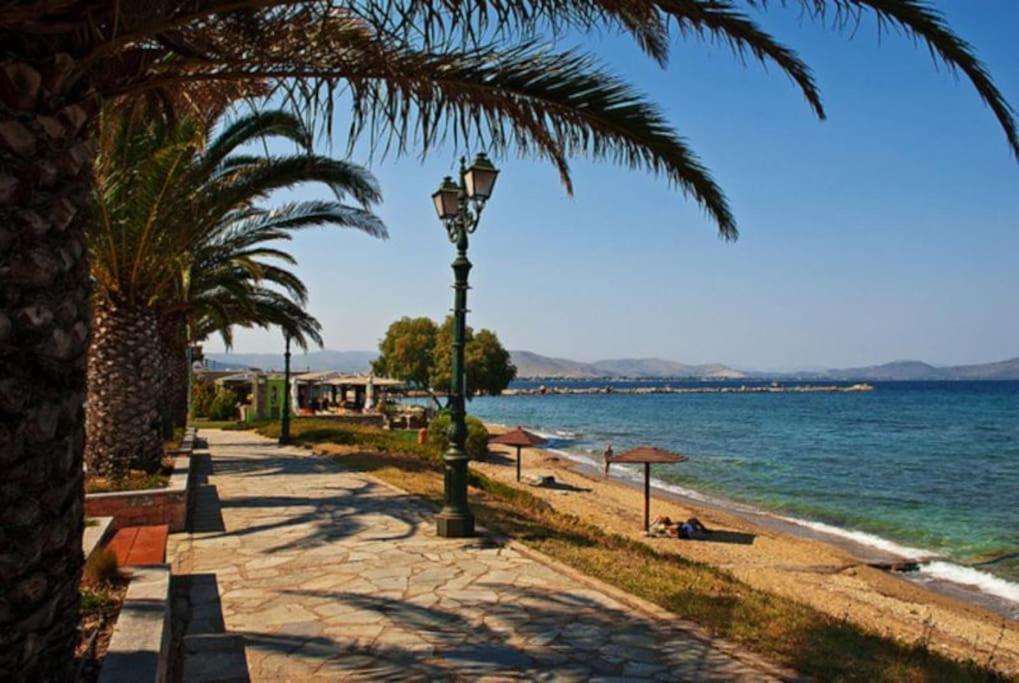 The White House Beach Villa Rafína المظهر الخارجي الصورة